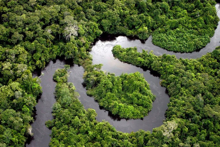 Vista aérea de rio serpenteando pela Floresta Amazônica