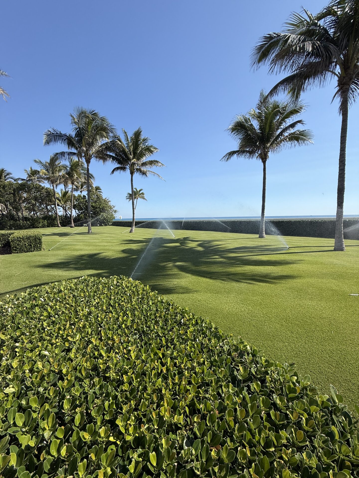 Florida lawn irrigation