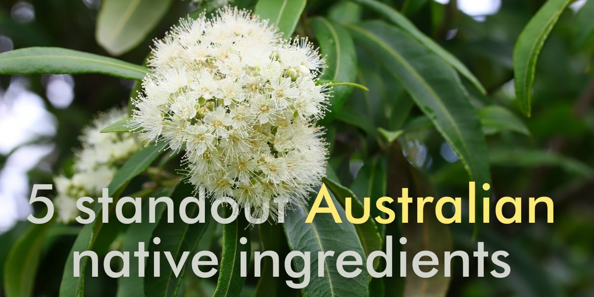 Native Ingredients That Make Australian Skincare Extraordinary – Australian  Natural Soap Company