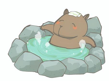 水豚泡温泉的卡通形象