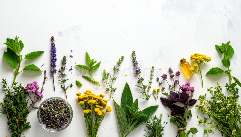 Medicinal herbs