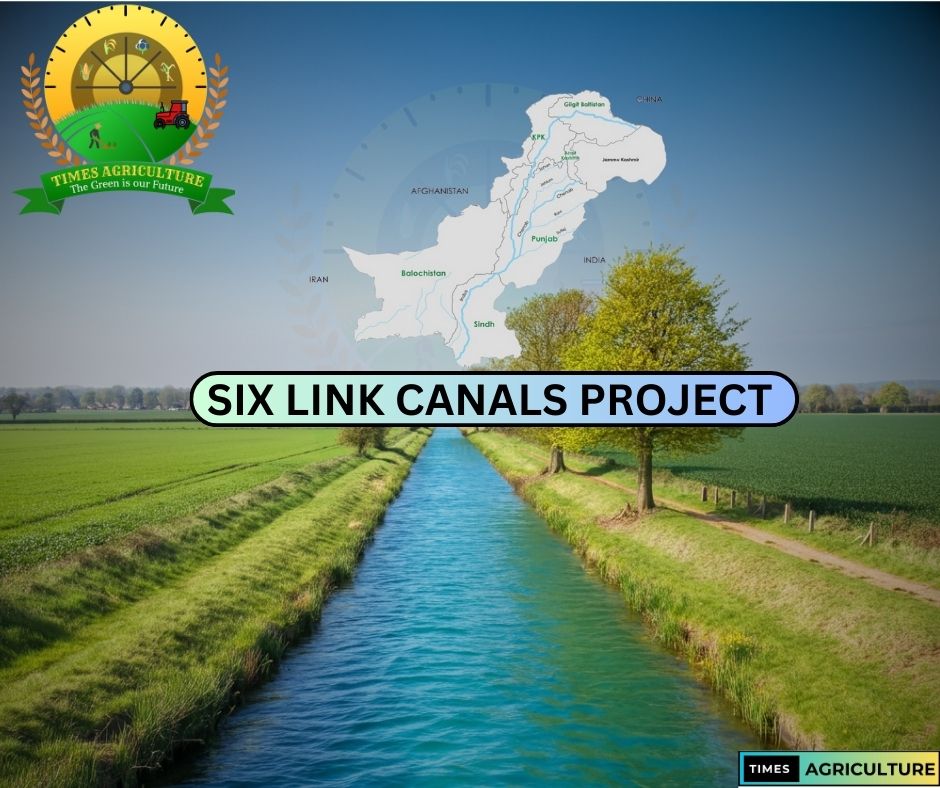 Canal System