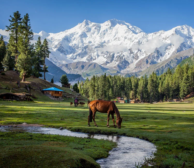 Pakistan Northern Areas Tour - Beautiful mountain landscape with green meadows and snow peaks