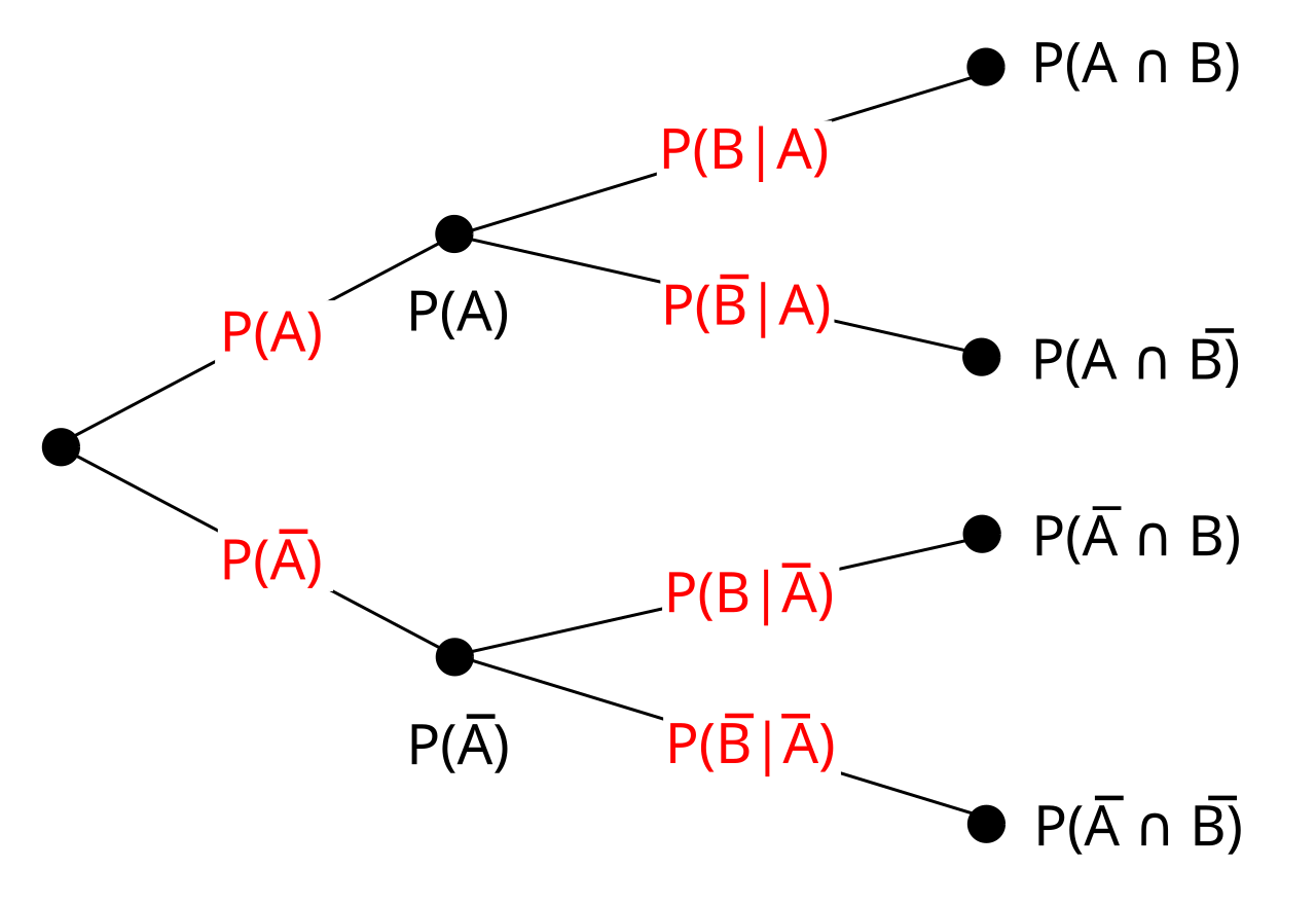 CBSE Class 10 Maths Notes Probability Tree Diagram