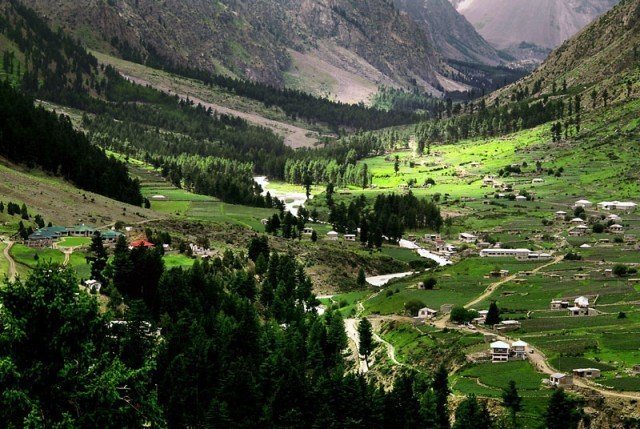 Adventure GB Naltar Valley tour with lush green pine forests and mountain village