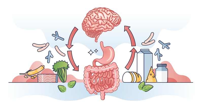 Gut-brain connection illustration showing how food affects mental health through the digestive system