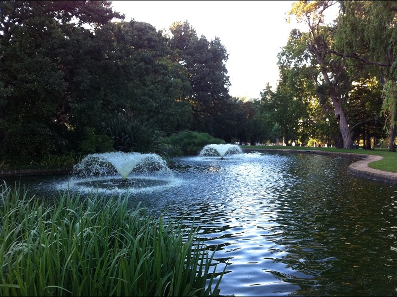 Peaceful lake with fountain at Royal Botanic Gardens