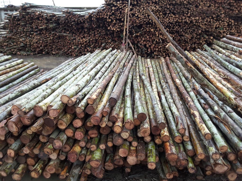 Wood Poles