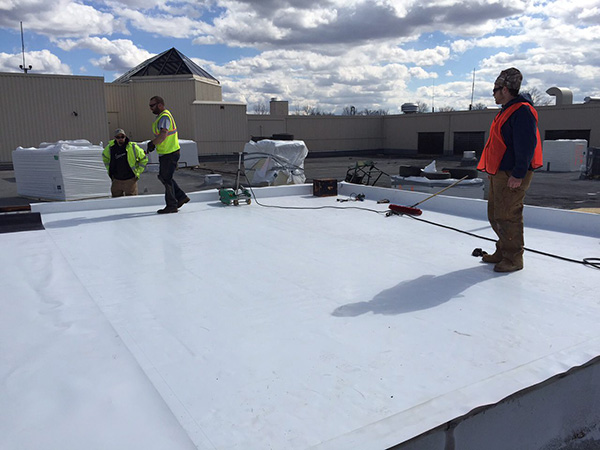 Crew installing white TPO membrane on commercial roof