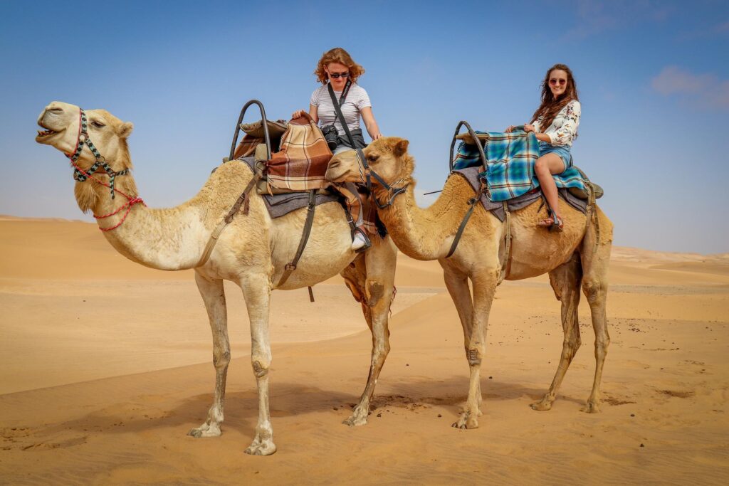 Tourists riding camels in the Egyptian desert during a visa extension trip