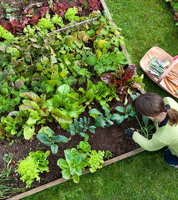 Garden center