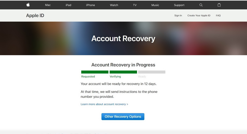 Apple官网账户恢复进度页面