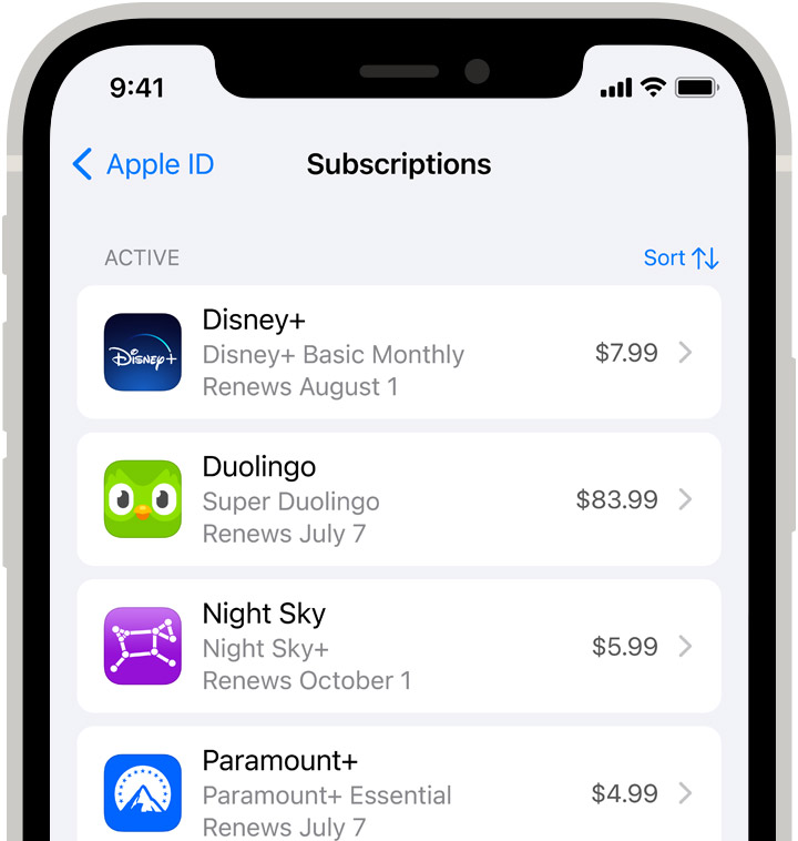App Store订阅列表展示余额
