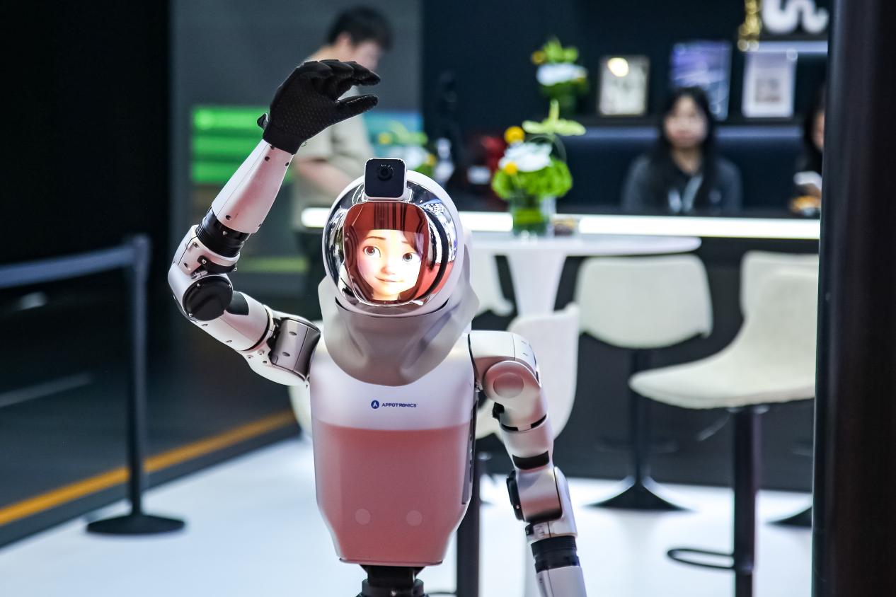 人形机器人与AI智能终端产品展示