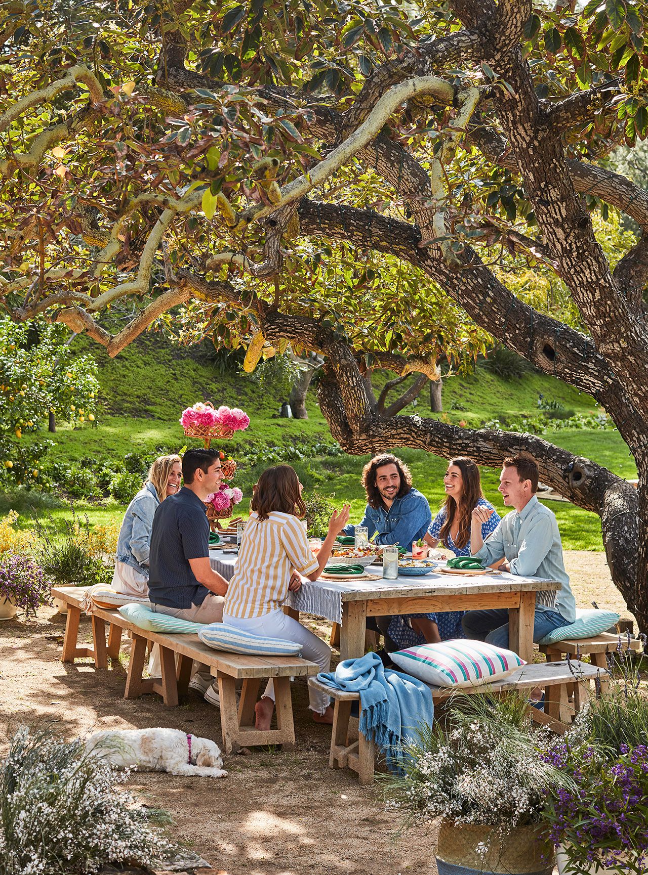 Comida al aire libre