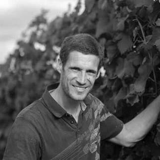 Vincent Gross in vineyard