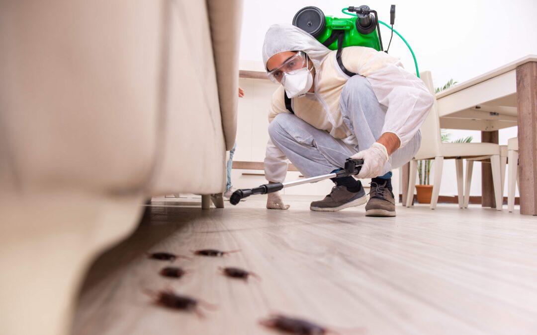 Pest control expert inspecting home interior