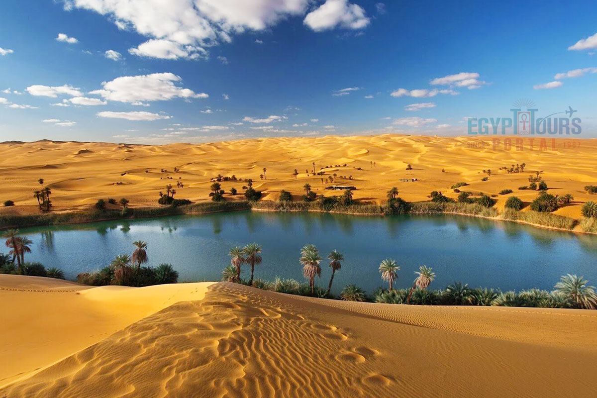 Bahariya Oasis