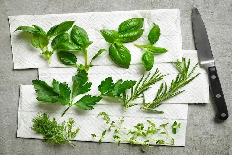 Fresh herbs including basil, parsley, rosemary, and thyme arranged on paper towels with a knife for prep