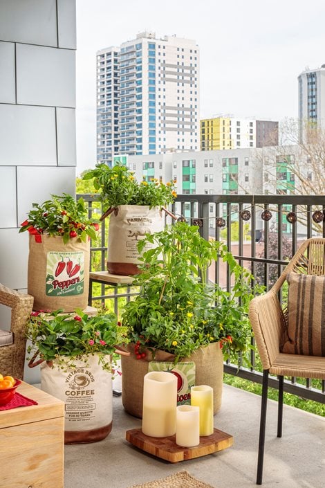 21 Balcony Garden Ideas for Beginners in Small Apartments | Garden Design