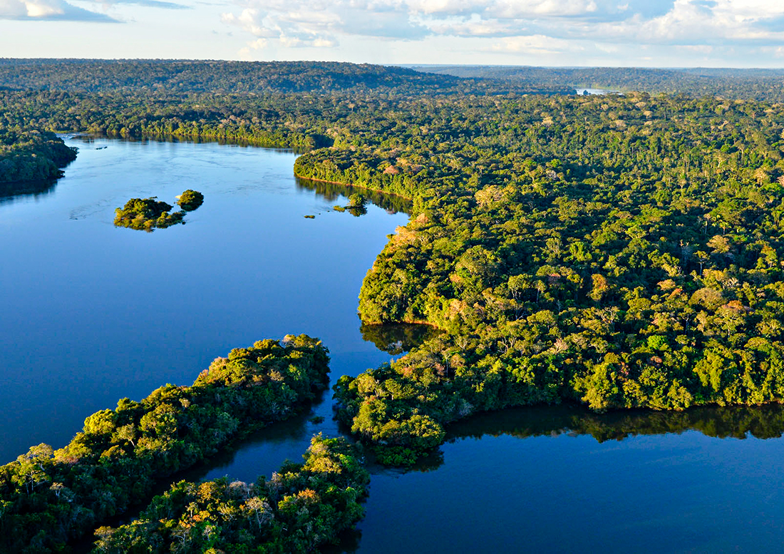 Vista aérea da Floresta Amazônica, maior floresta tropical do mundo