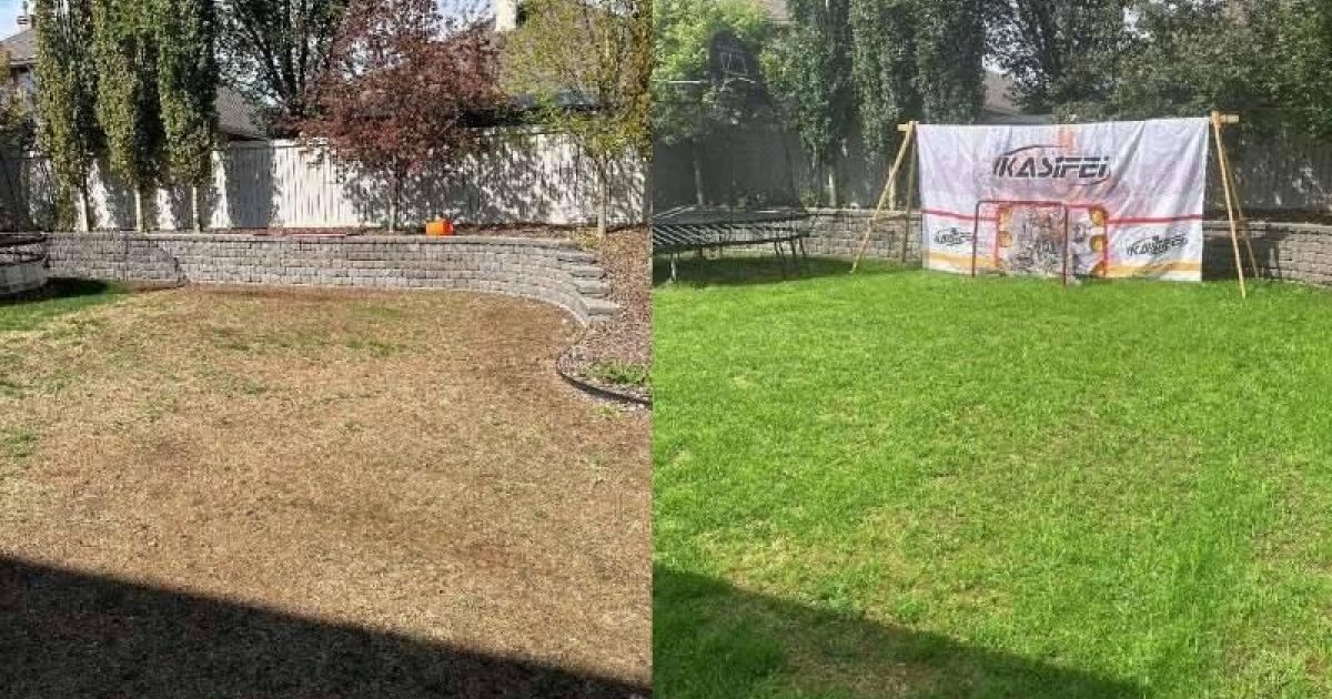 Before after lawn