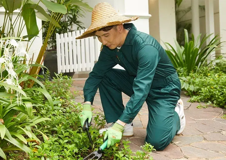 Experienced landscaper maintaining garden beds