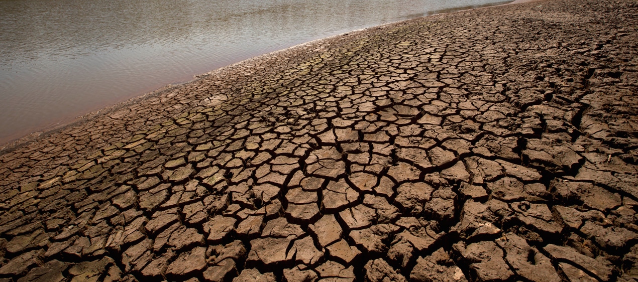 Terra rachada pela seca no Nordeste brasileiro durante a Grande Seca de 1877