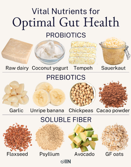 Vital nutrients for optimal gut health including probiotics, prebiotics, and soluble fiber