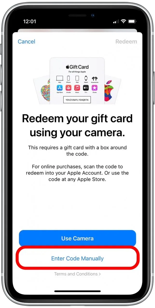 iPhone App Store 兑换礼品卡代码页面，手动输入卡密选项