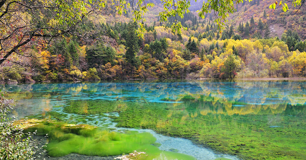 Jiuzhaigou Five-Flower Lake Travertine Pools