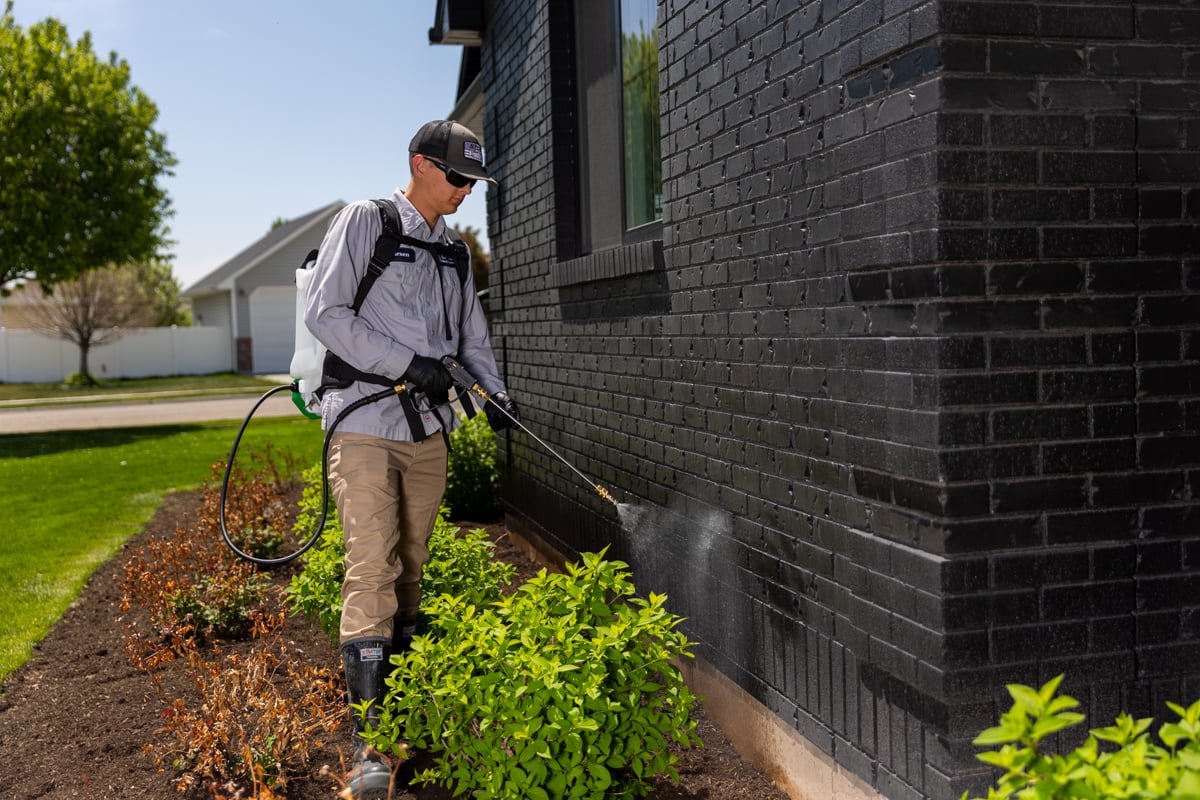Professional pest control technician treating home exterior