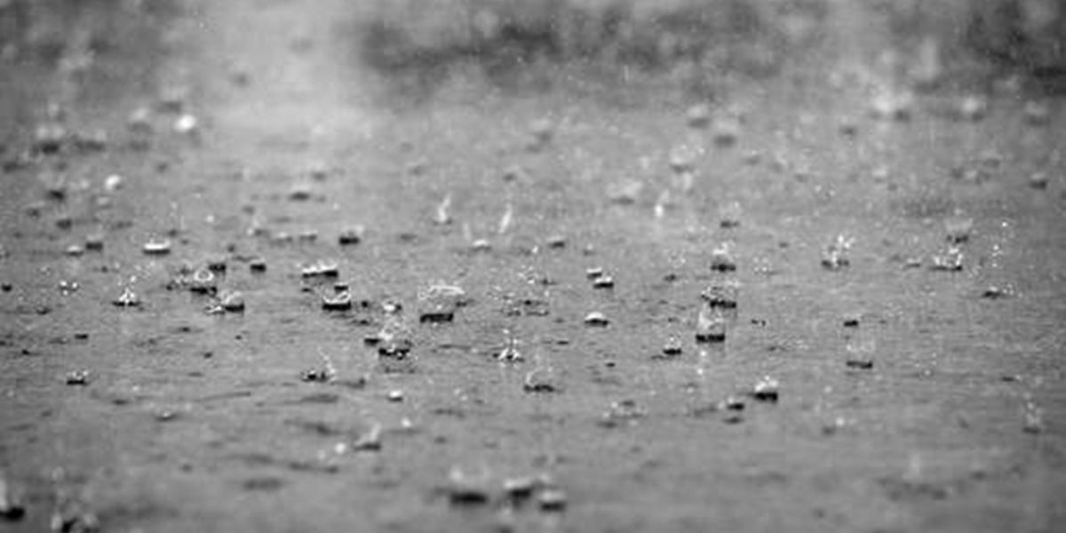 قطرات المطر