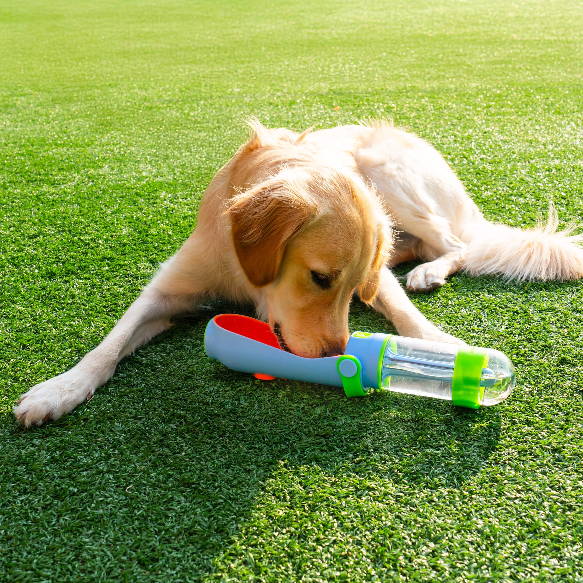 Benebone Wishbone Durable Dog Chew Toy - Variant 100