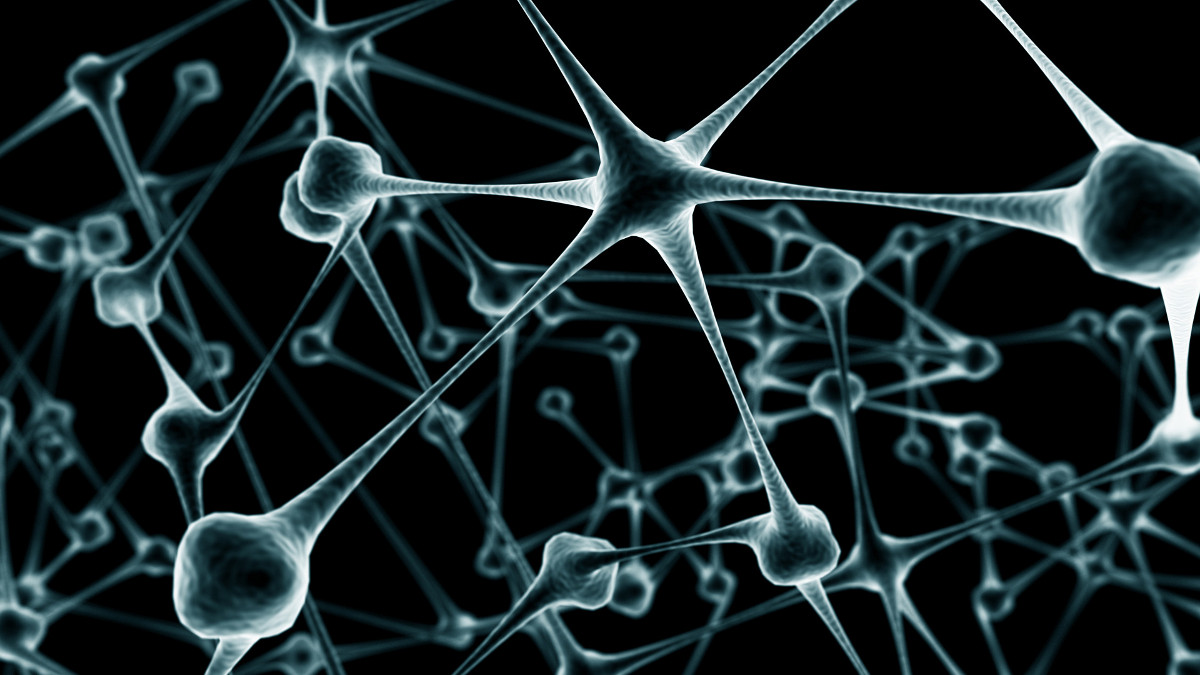 Abstract neural network visualization