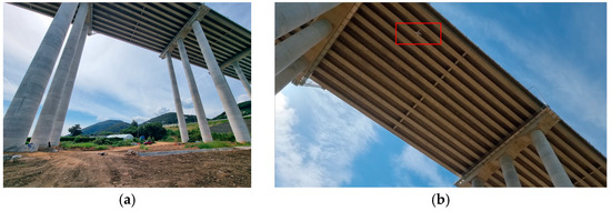 Bridge & Infrastructure