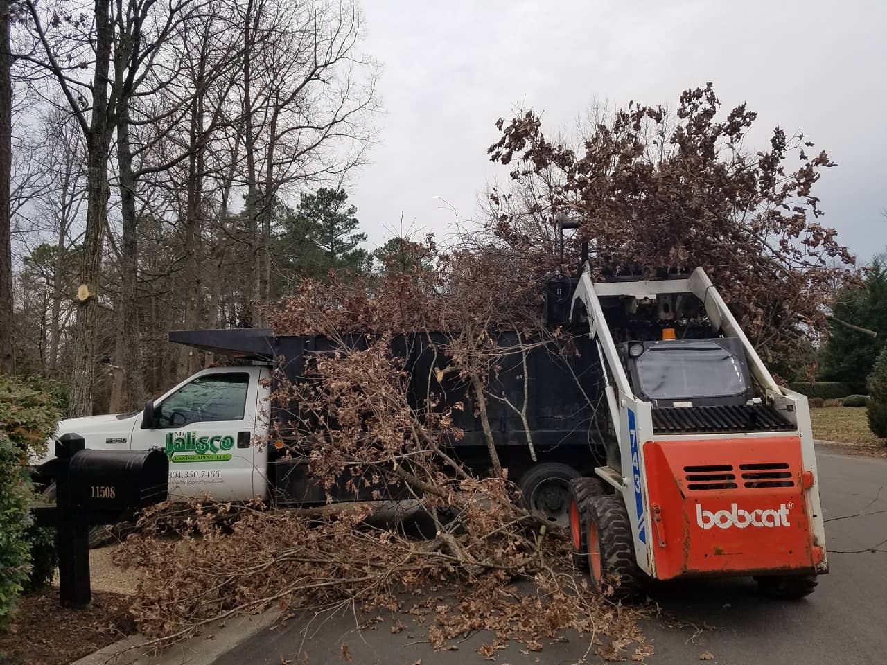 Site Clearance