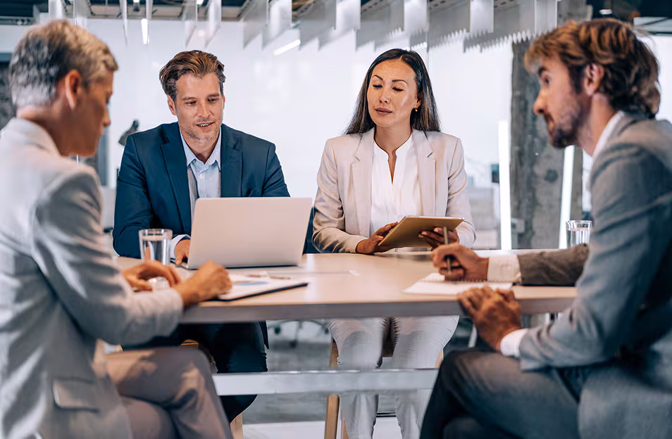 NetSuite ERP consulting with business professionals