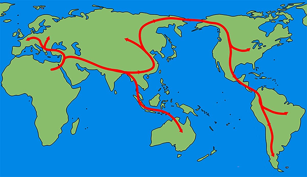 Historical world map depicting human migration routes