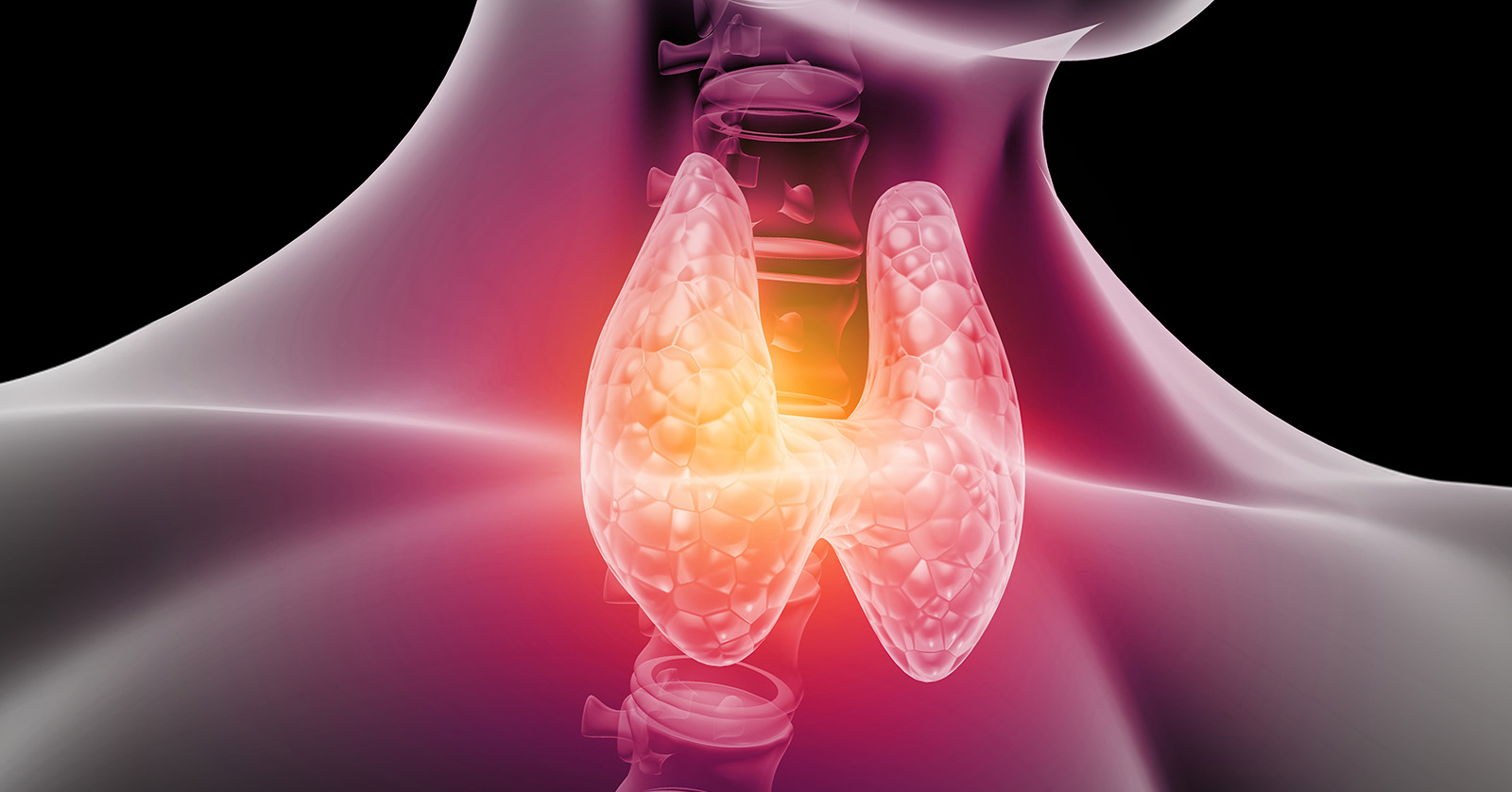 Science Update: Thyroid hormone imbalance during early pregnancy may increase future risk of thyroid disease | NICHD - Eunice Kennedy Shriver National Institute of Child Health and Human Development