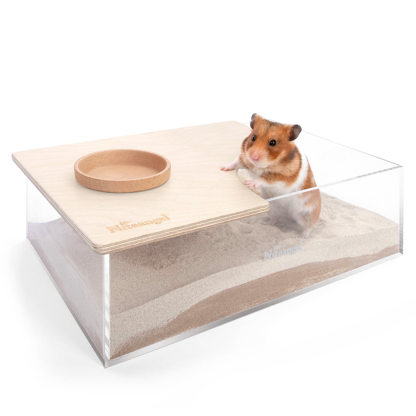 HEXBUG Nano Robotic Interactive Cat Toy - Variant 497