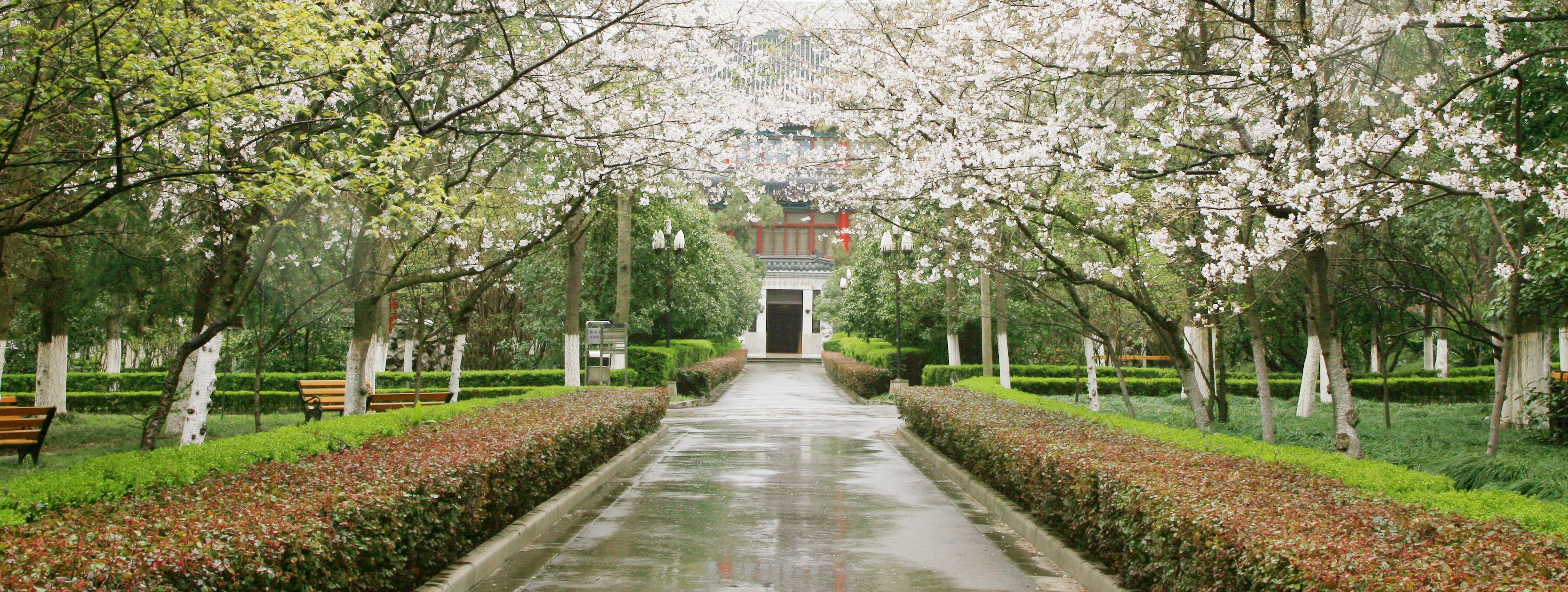 南京大学校园生活
