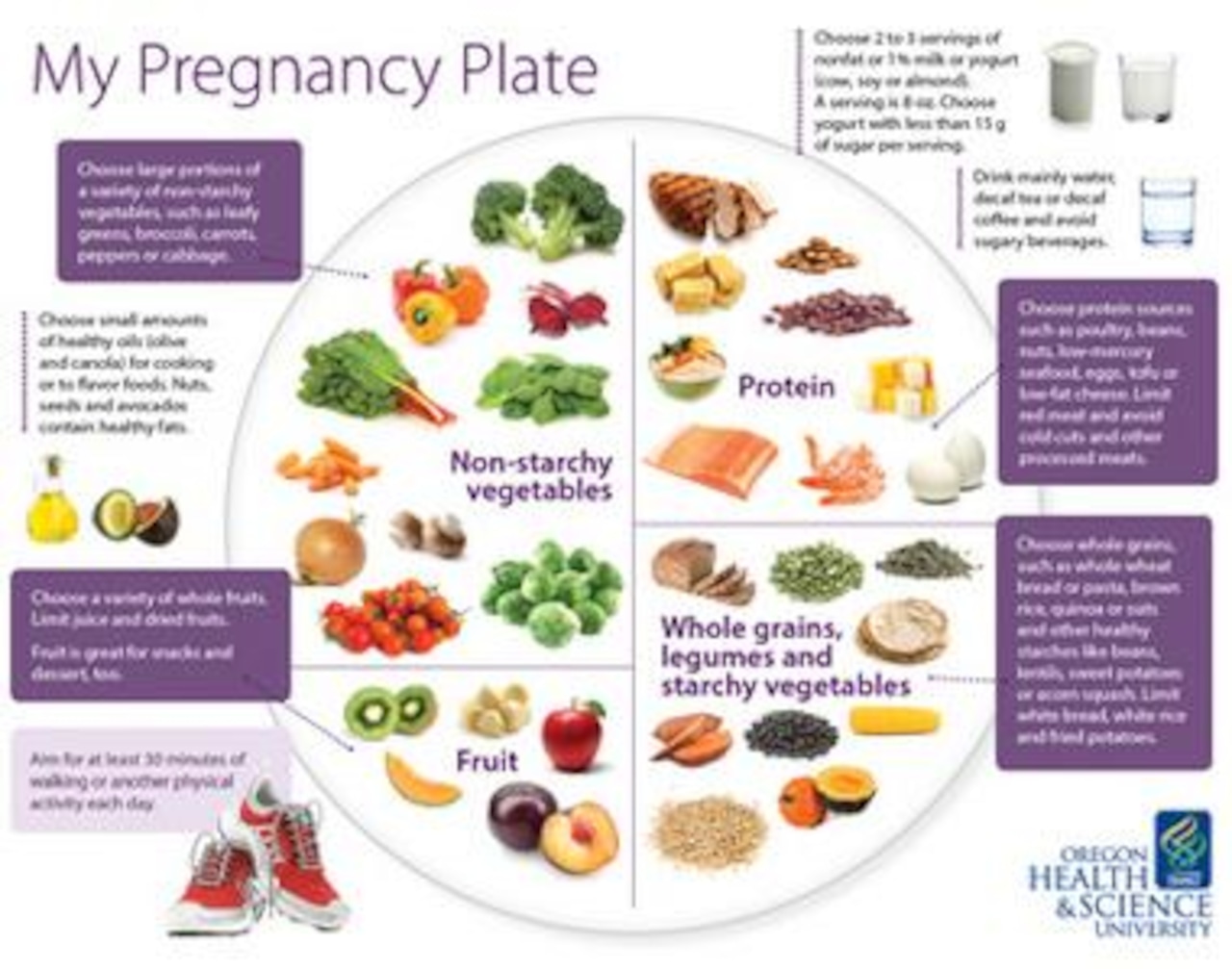 My Pregnancy Plate showing balanced portions of vegetables, protein, grains, and fruits