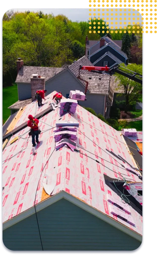 Professional Roofing Installation