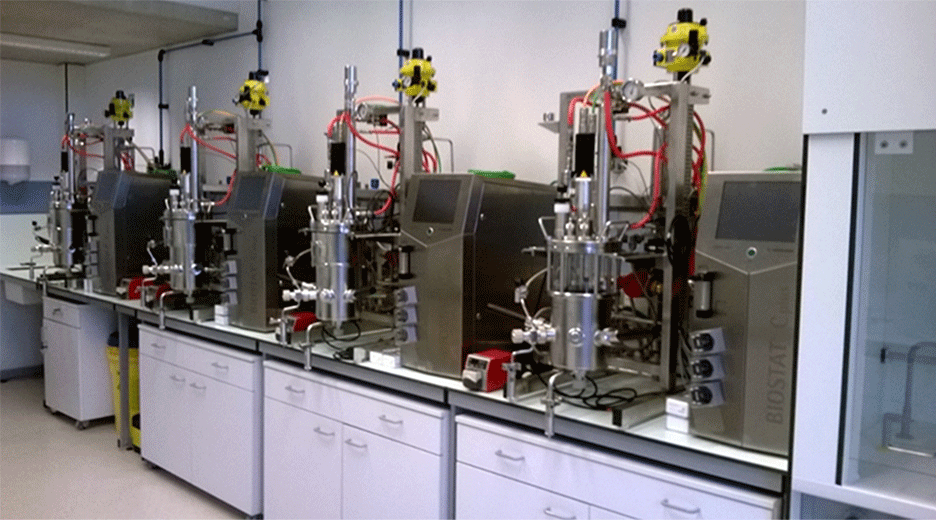 Industrial protein manufacturing facility with multiple parallel bioreactors