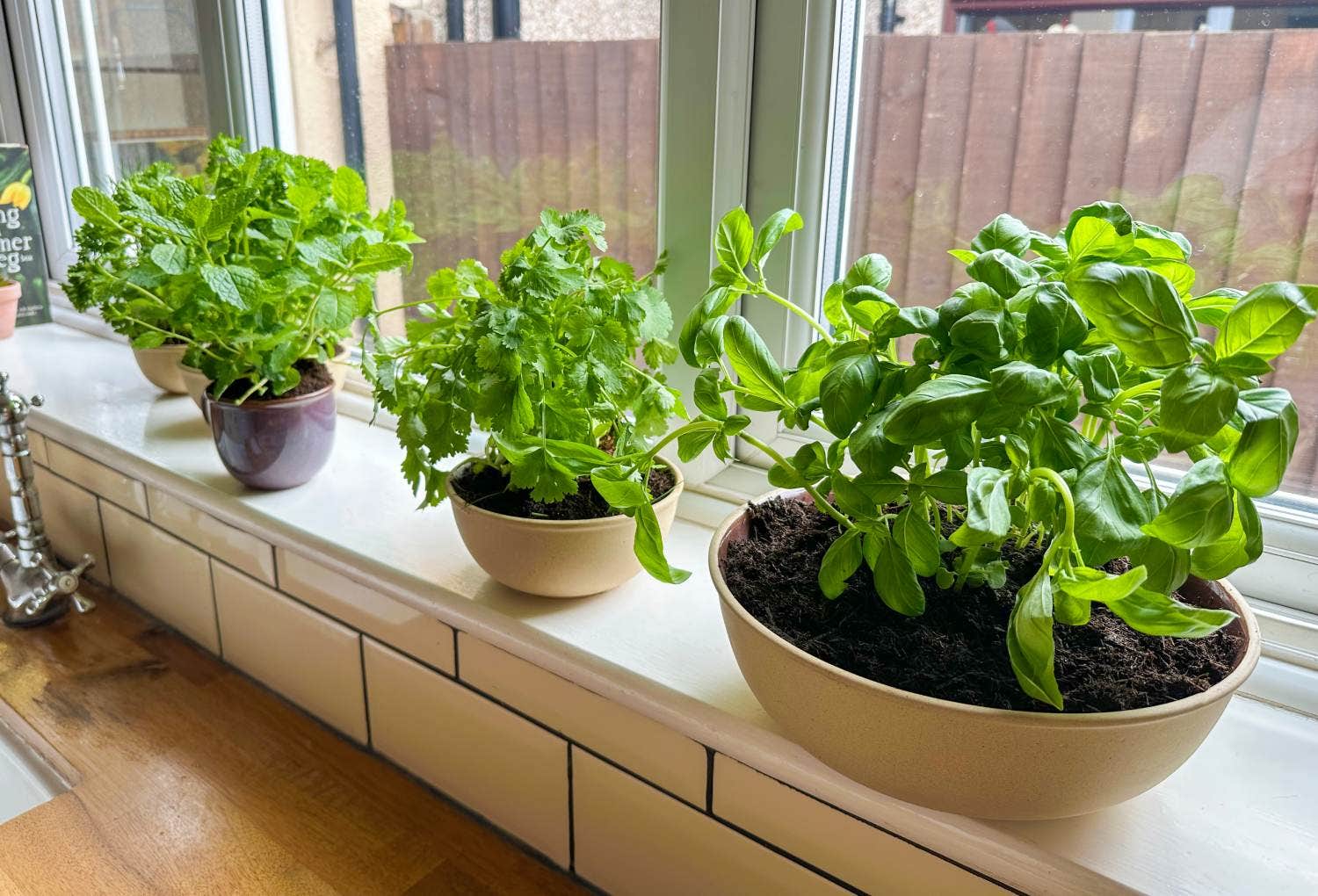 DIY Kitchen Herb Garden | Portmeirion
