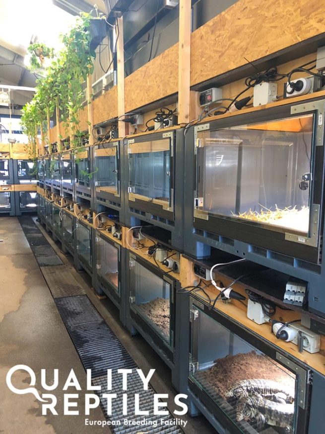Breeding Facility