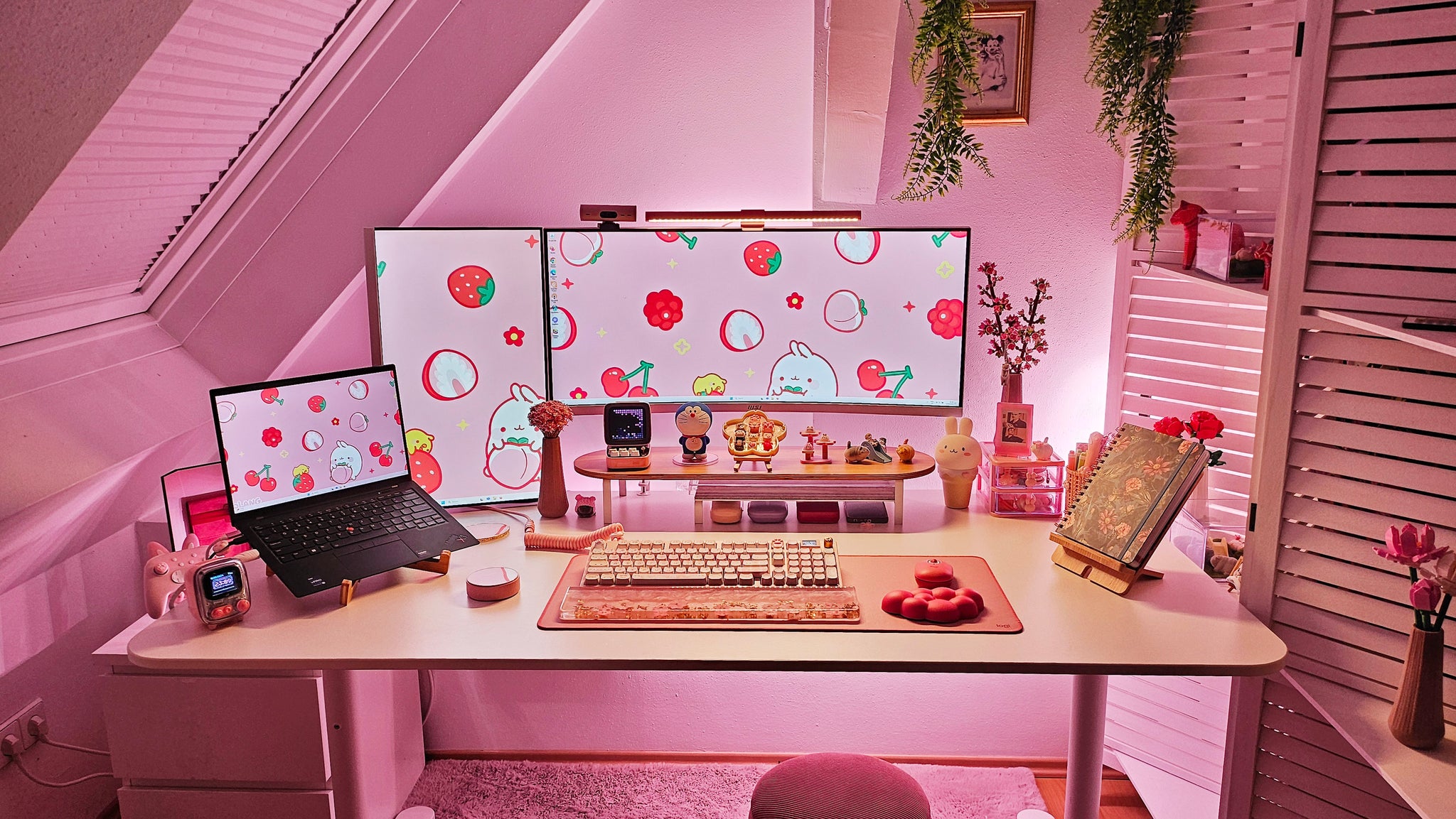 Dual Monitor Setup