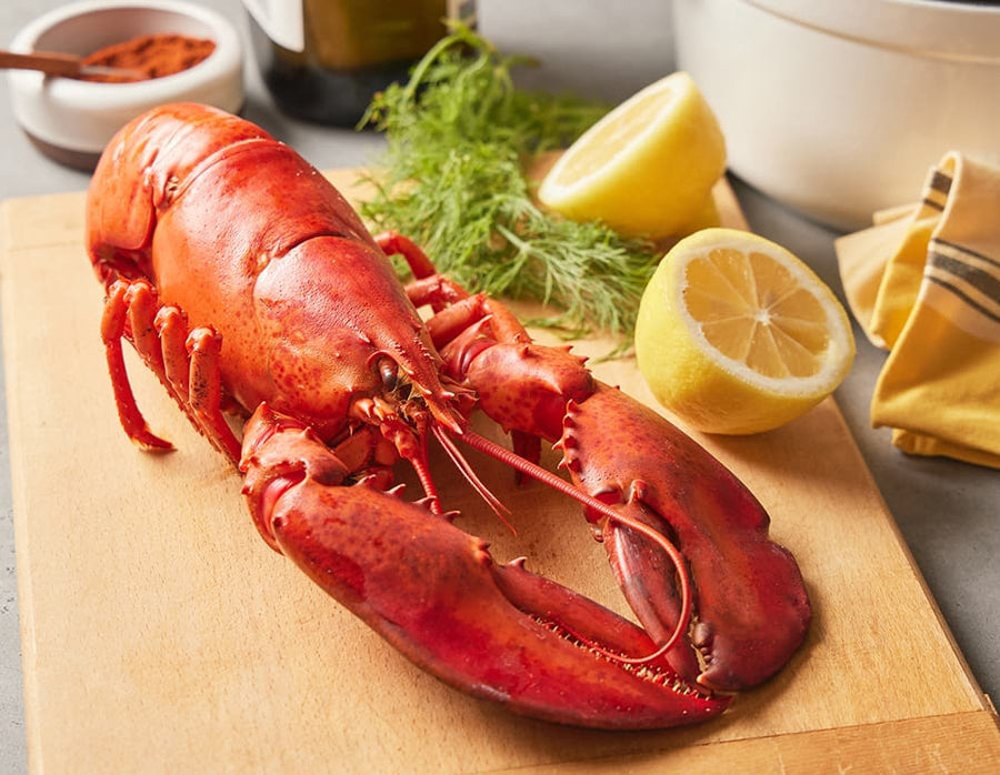 Omani Lobster