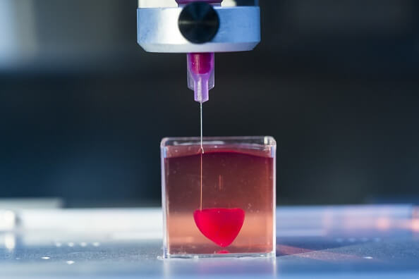 3D bioprinted organ tissue structure